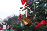 13 декабря на набережной Гомеля засияли креативные ели предприятий и организаций