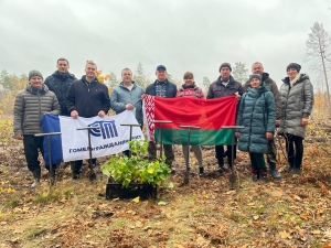 Акция &quot;Дай лесу новае жыццё&quot;